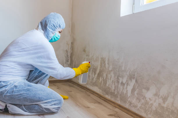 Licensed Mold Remediation service in Highlands, NC - 24 Hour Mold Removal