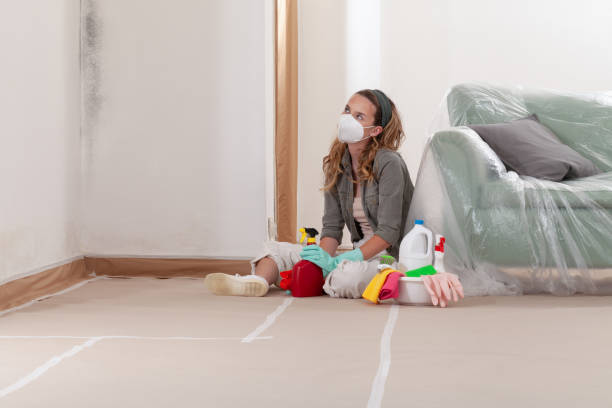 Reliable Mold Remediation contractor in Highlands, NC by 24 Hour Mold Removal